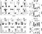 CD23 Antibody in Flow Cytometry (Flow)