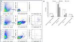 CD183 (CXCR3) Antibody in Flow Cytometry (Flow)