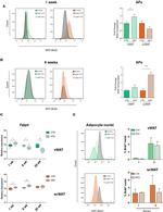 CD31 (PECAM-1) Antibody in Flow Cytometry (Flow)