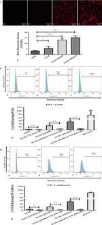 CD144 (VE-cadherin) Antibody in Flow Cytometry (Flow)