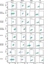 CD73 Antibody in Flow Cytometry (Flow)