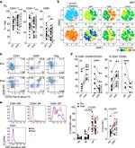 CD39 Antibody in Flow Cytometry (Flow)