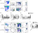 CD44 Antibody in Flow Cytometry (Flow)