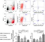 EOMES Antibody in Flow Cytometry (Flow)