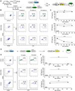 F4/80 Antibody in Flow Cytometry (Flow)