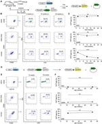 CD45 Antibody in Flow Cytometry (Flow)