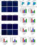 CD45 Antibody in Flow Cytometry (Flow)