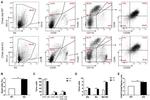 CD45 Antibody in Flow Cytometry (Flow)