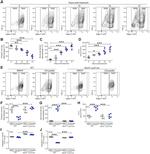 Ly-6C Antibody in Flow Cytometry (Flow)