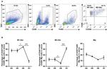 F4/80 Antibody in Flow Cytometry (Flow)