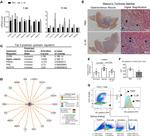 CD45.2 Antibody in Flow Cytometry (Flow)