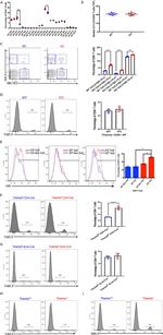 TCR V alpha 3.2 Antibody in Flow Cytometry (Flow)