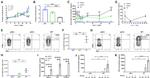 CD45.2 Antibody in Flow Cytometry (Flow)