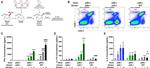 CD45.2 Antibody in Flow Cytometry (Flow)