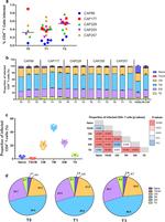 CD122 Antibody in Flow Cytometry (Flow)