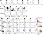 CD34 Antibody in Flow Cytometry (Flow)