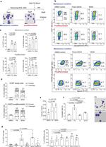 CD49d (Integrin alpha 4) Antibody in Flow Cytometry (Flow)