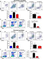 F4/80 Antibody in Flow Cytometry (Flow)