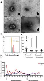 CD63 Antibody in Flow Cytometry (Flow)