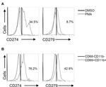 CD68 Antibody in Flow Cytometry (Flow)