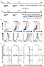 CD279 (PD-1) Antibody in Flow Cytometry (Flow)