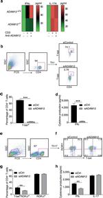 T-bet Antibody in Flow Cytometry (Flow)