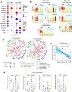 CD69 Antibody in Flow Cytometry (Flow)