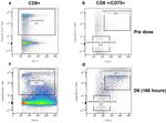 CD70 Antibody in Flow Cytometry (Flow)