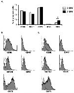 CD73 Antibody in Flow Cytometry (Flow)