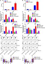 CD86 (B7-2) Antibody in Flow Cytometry (Flow)