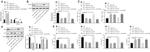 CD206 (MMR) Antibody in Flow Cytometry (Flow)