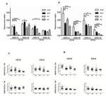 CD19 Antibody in Flow Cytometry (Flow)