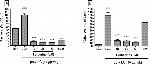 CD95 (APO-1/Fas) Antibody in Flow Cytometry (Flow)