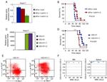 Ki-67 Antibody in Flow Cytometry (Flow)