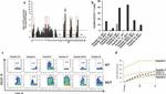 CD137 (4-1BB) Antibody in Flow Cytometry (Flow)