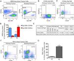 CD140b (PDGFRB) Antibody in Flow Cytometry (Flow)