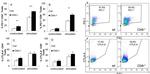 CD279 (PD-1) Antibody in Flow Cytometry (Flow)