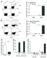 CD154 (CD40 Ligand) Antibody in Flow Cytometry (Flow)