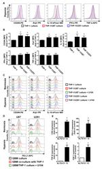 TNF alpha Antibody in Flow Cytometry (Flow)