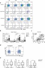 TIGIT Antibody in Flow Cytometry (Flow)