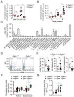 IgA Antibody in Flow Cytometry (Flow)