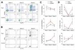 IFN gamma Antibody in Flow Cytometry (Flow)