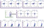 F4/80 Antibody in Flow Cytometry (Flow)