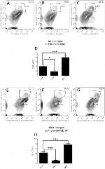 F4/80 Antibody in Flow Cytometry (Flow)