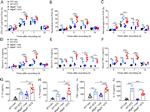 F4/80 Antibody in Flow Cytometry (Flow)