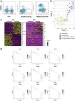 CD5 Antibody in Flow Cytometry (Flow)