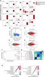 CD5 Antibody in Flow Cytometry (Flow)