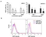 Ki-67 Antibody in Flow Cytometry (Flow)