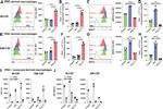 MERTK Antibody in Flow Cytometry (Flow)