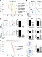 FOXP3 Antibody in Flow Cytometry (Flow)